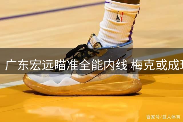 广东宏远瞄准全能内线 梅克或成球队攻防关键